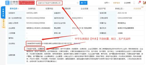 計(jì)算機(jī)軟件技術(shù)服務(wù) 驅(qū)動(dòng)數(shù)字化轉(zhuǎn)型的核心動(dòng)力